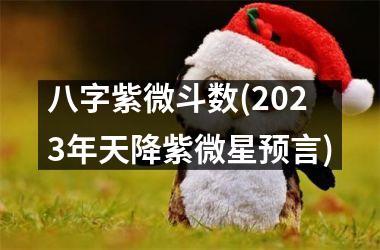 <h3>八字紫微斗数(2025年天降紫微星预言)