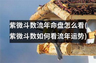 <h3>紫微斗数流年命盘怎么看(紫微斗数如何看流年运势)