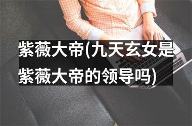 <h3>紫薇大帝(九天玄女是紫薇大帝的领导吗)