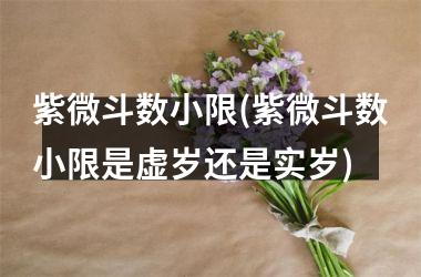 <h3>紫微斗数小限(紫微斗数小限是虚岁还是实岁)