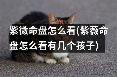 紫微命盘怎么看(紫薇命盘怎么看有几个孩子)
