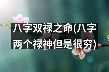 八字双禄之命(八字两个