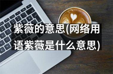 <h3>紫薇的意思(网络用语紫薇是什么意思)
