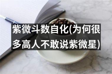 <h3>紫微斗数自化(为何很多高人不敢说紫微星)