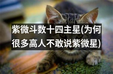 紫微斗数十四主星(为何很多高人不敢说紫微星)
