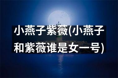 <h3>小燕子紫薇(小燕子和紫薇谁是女一号)
