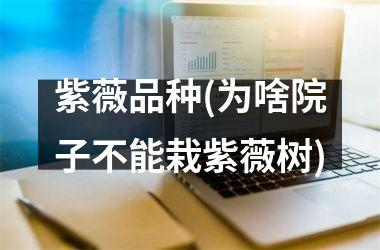 紫薇品种(为啥院子不能栽紫薇树)