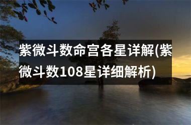<h3>紫微斗数命宫各星详解(紫微斗数108星详细解析)