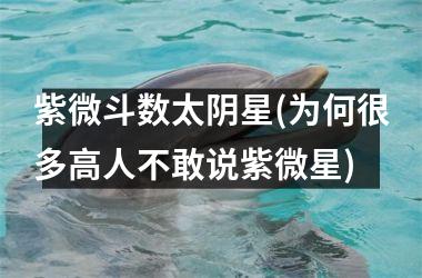 <h3>紫微斗数太阴星(为何很多高人不敢说紫微星)
