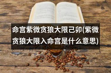 <h3>命宫紫微贪狼大限己卯(紫微贪狼大限入命宫是什么意思)