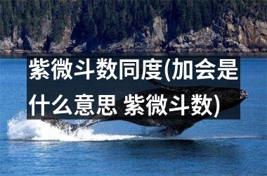 <h3>紫微斗数同度(加会是什么意思 紫微斗数)