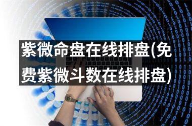 <h3>紫微命盘在线排盘(免费紫微斗数在线排盘)