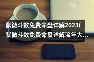 紫微斗数免费命盘详解2025(紫微斗数免费命盘详解流年大运)