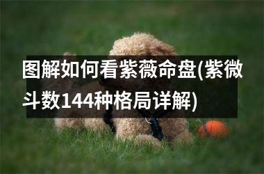 <h3>图解如何看紫薇命盘(紫微斗数144种格局详解)