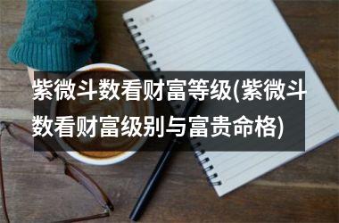 <h3>紫微斗数看财富等级(紫微斗数看财富级别与富贵命格)