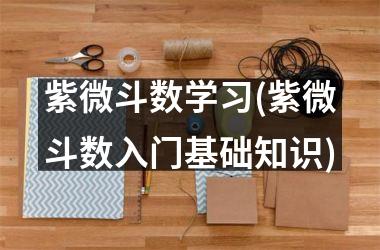 <h3>紫微斗数学习(紫微斗数入门基础知识)