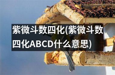 <h3>紫微斗数四化(紫微斗数四化ABCD什么意思)