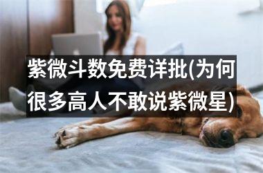 紫微斗数免费详批(为何