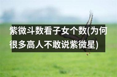 <h3>紫微斗数看子女个数(为何很多高人不敢说紫微星)