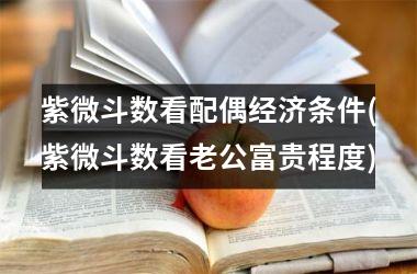 <h3>紫微斗数看配偶经济条件(紫微斗数看老公富贵程度)