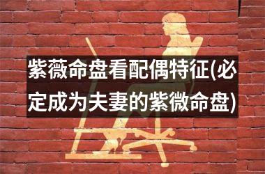 <h3>紫薇命盘看配偶特征(必定成为夫妻的紫微命盘)