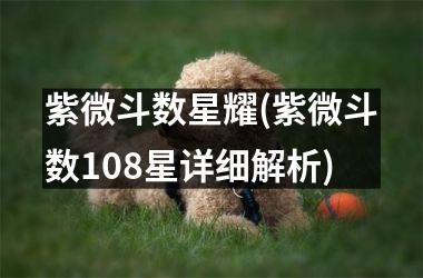 紫微斗数星耀(紫微斗数108星详细解析)