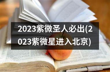 2023紫微圣人必出(2023