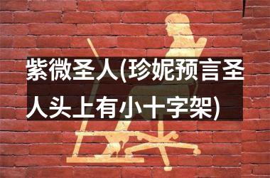 紫微圣人(珍妮预言圣人头上有小十字架)