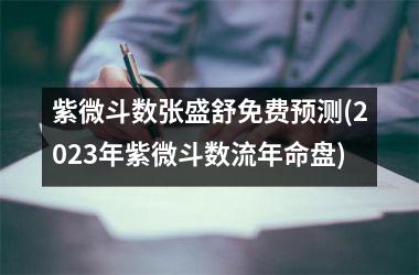 <h3>紫微斗数张盛舒免费预测(2025年紫微斗数流年命盘)