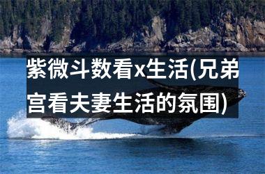 紫微斗数看x生活(兄弟宫看夫妻生活的氛围)