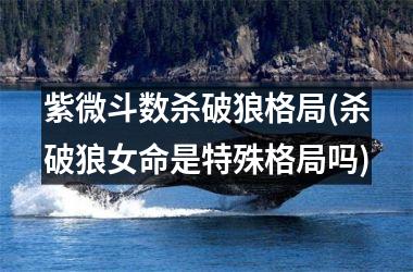 <h3>紫微斗数杀破狼格局(杀破狼女命是特殊格局吗)