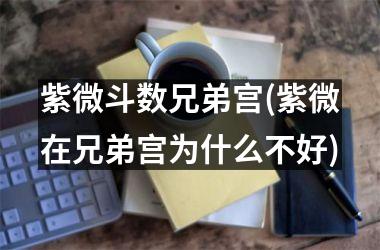 <h3>紫微斗数兄弟宫(紫微在兄弟宫为什么不好)