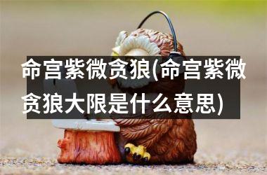 <h3>命宫紫微贪狼(命宫紫微贪狼大限是什么意思)