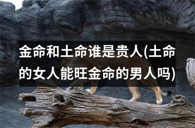 <h3>金命和土命谁是贵人(土命的女人能旺金命的男人吗)
