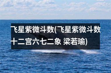 飞星紫微斗数(飞星紫微斗数十二宫六七二象 梁若瑜)