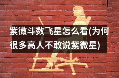 紫微斗数飞星怎么看(为何很多高人不敢说紫微星)