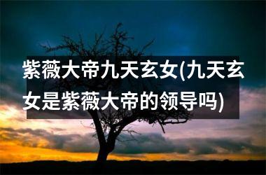 <h3>紫薇大帝九天玄女(九天玄女是紫薇大帝的领导吗)