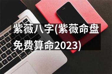 紫薇八字(紫薇命盘免费算命2025)