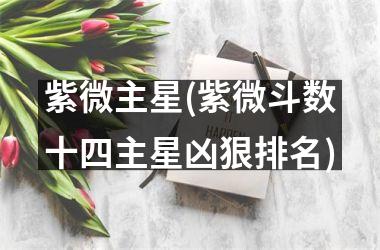 <h3>紫微主星(紫微斗数十四主星凶狠排名)