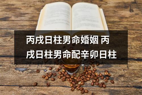 丙戌日柱男命婚姻丙戌日柱男命配辛卯日柱