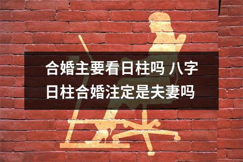 <h3>合婚主要看日柱吗八字日柱合婚注定是夫妻吗
