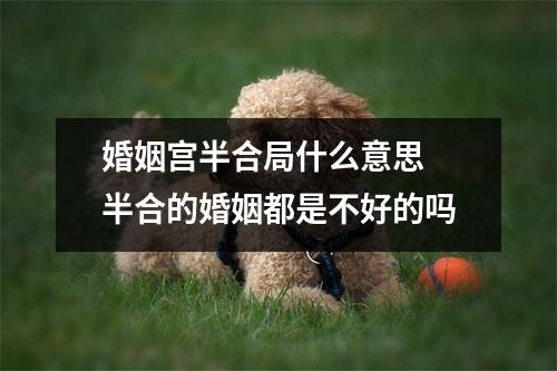 婚姻宫半合局什么意思半合的婚姻都是不好的吗