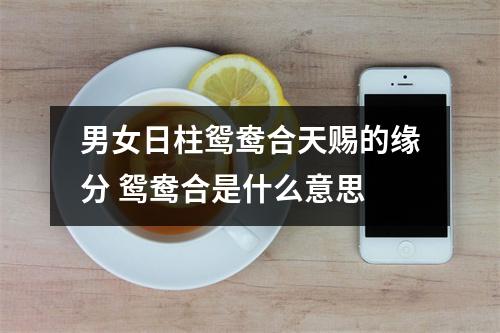 <h3>男女日柱鸳鸯合天赐的缘分鸳鸯合是什么意思