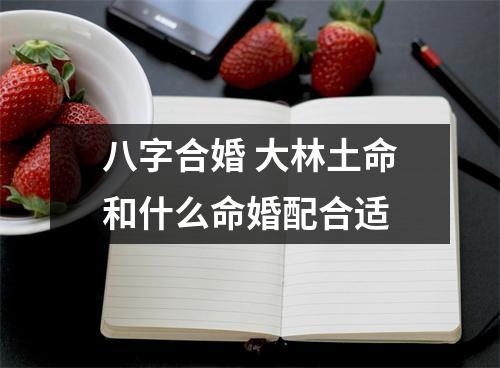 八字合婚大林土命和什么命婚配合适
