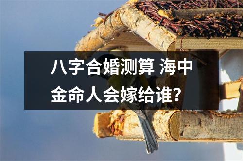 <h3>八字合婚测算海中金命人会嫁给谁？