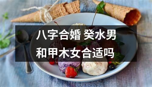 <h3>八字合婚癸水男和甲木女合适吗