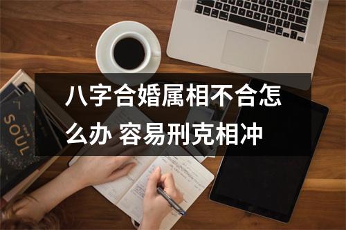<h3>八字合婚属相不合怎么办容易刑克相冲