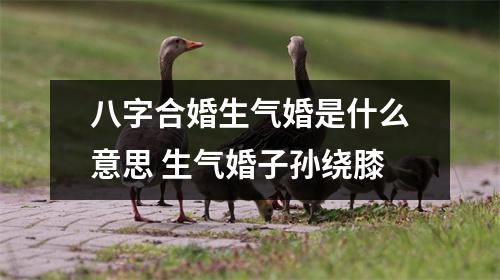 八字合婚生气婚是什么意思生气婚子孙绕膝