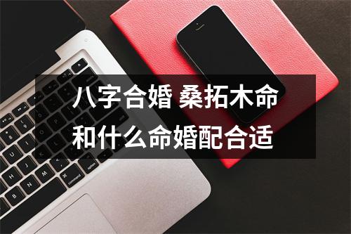 <h3>八字合婚桑拓木命和什么命婚配合适