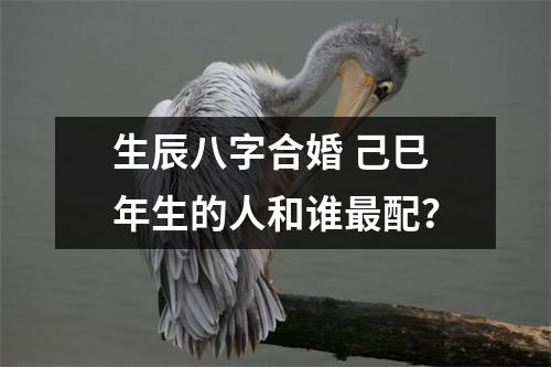 <h3>生辰八字合婚己巳年生的人和谁配？